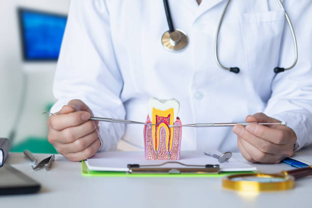 Best Emergency Root Canal Treatment in Red Boiling Springs, TN